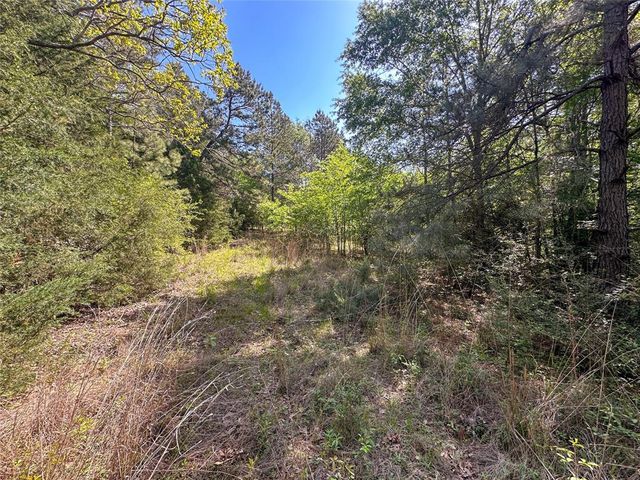 TBD Fm 1511, Buffalo, TX 75831