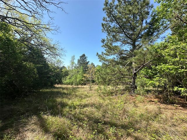 TBD Fm 1511, Buffalo, TX 75831