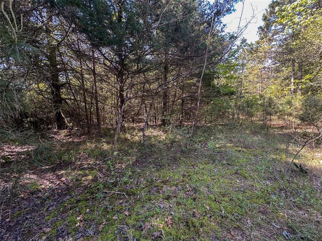TBD Fm 1511, Buffalo, TX 75831