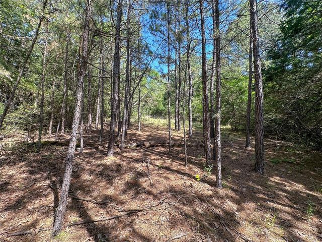 TBD Fm 1511, Buffalo, TX 75831