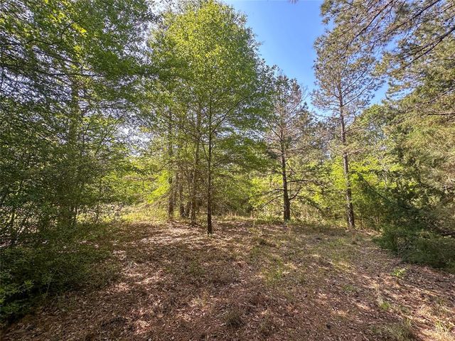 TBD Fm 1511, Buffalo, TX 75831
