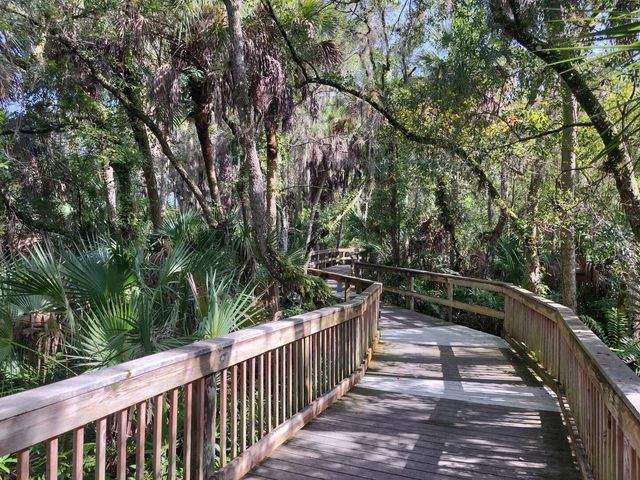 209 MESTRE PLACE, North Venice, FL 34275