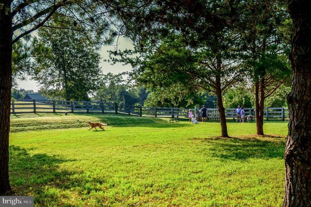 11517 OSPREY TRL, Spotsylvania, VA 22551