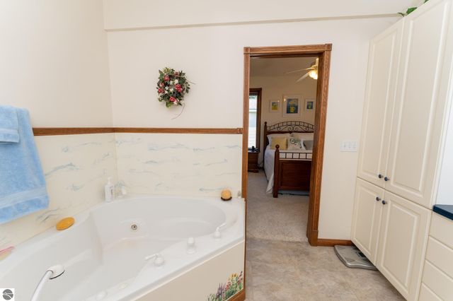 11076 N Shore Drive, Lake, MI 48632