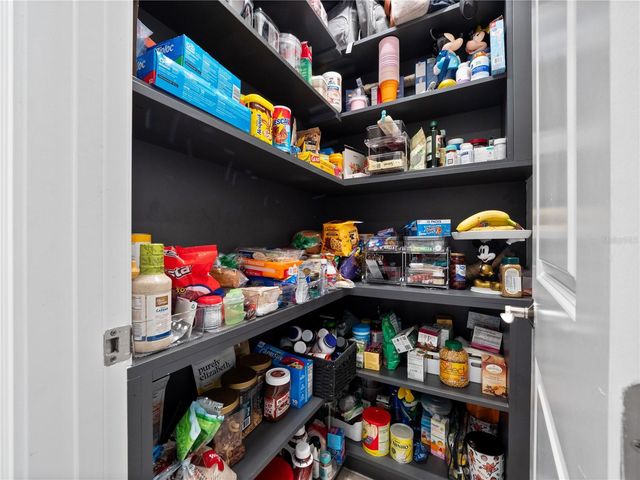 13494 ABBERWICK DRIVE, Orlando, FL 32832