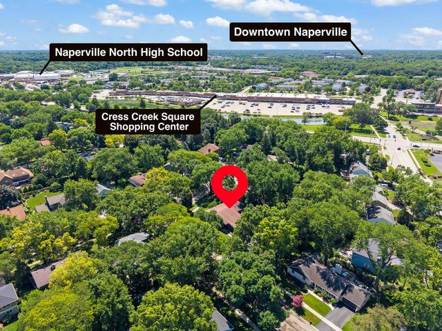 917 Royal Blackheath Court, Naperville, IL 60563