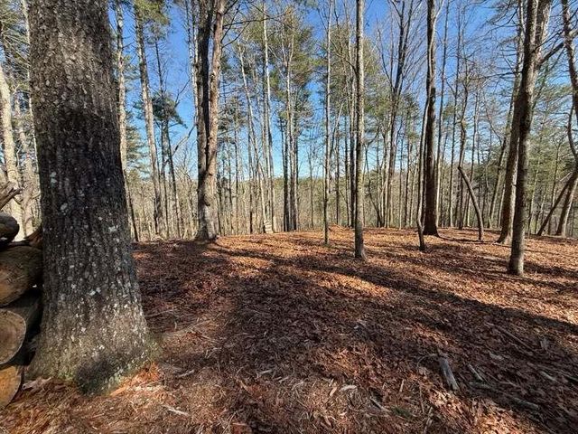 120R Red Oak Trail, Ellijay, GA 30540