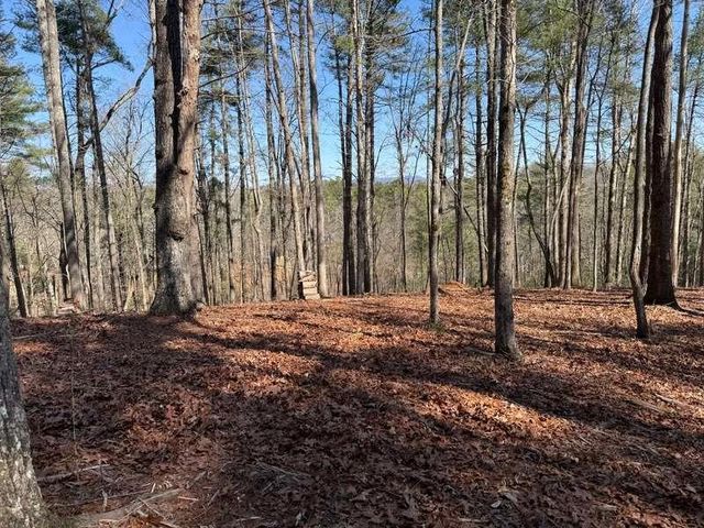 120R Red Oak Trail, Ellijay, GA 30540