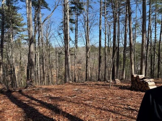 120R Red Oak Trail, Ellijay, GA 30540
