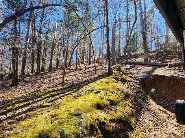 263 17th Street, Ellijay, GA 30540