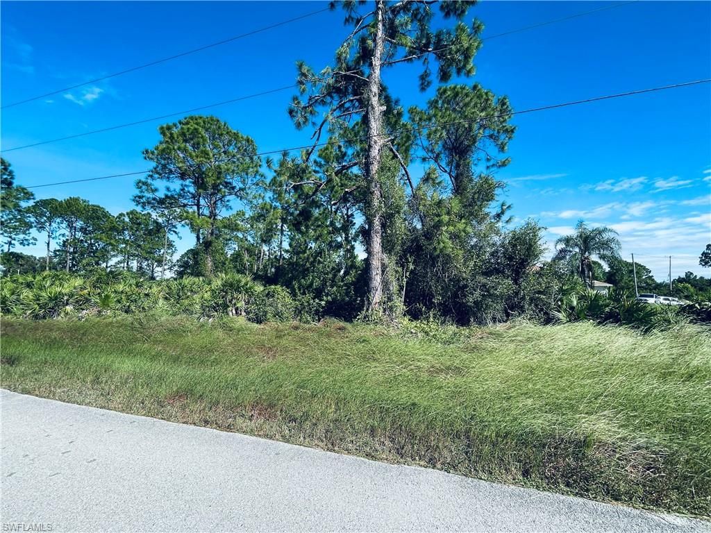 761 Cane ST E, LEHIGH ACRES, FL 33974 — photo 3