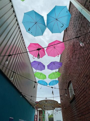 825 Hunters Landing Ln, Smithville, TN 37166