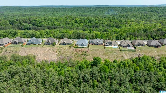 316 OXFORD WAY, Pelham, AL 35124