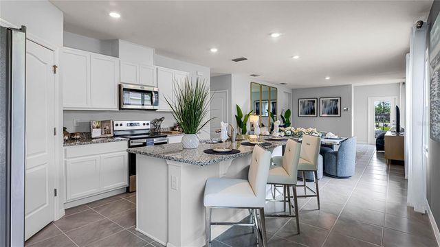 9855 BRAVE BUCK AVENUE, Land O Lakes, FL 34638