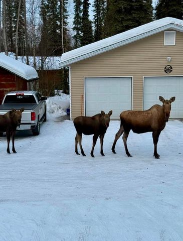 1102 NORTH STAR DRIVE, North Pole, AK 99705