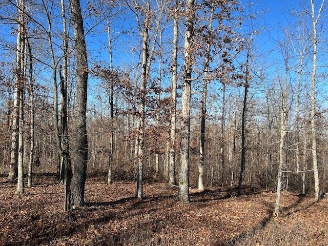 4 Slaughter Rd, Primm Springs, TN 38476