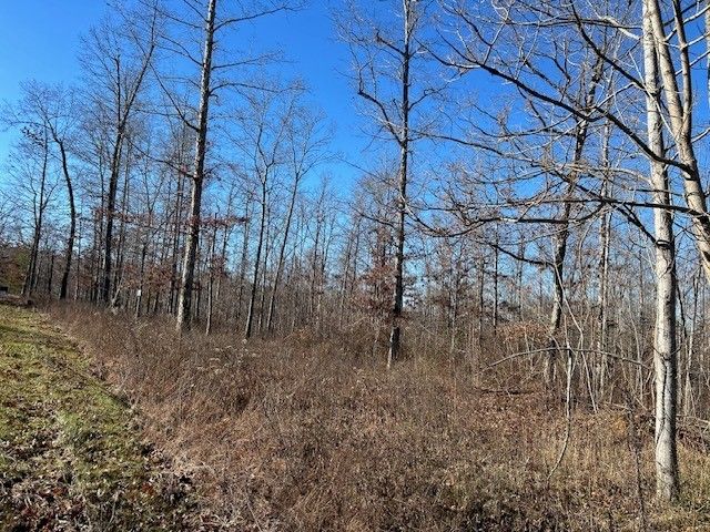 4 Slaughter Rd, Primm Springs, TN 38476