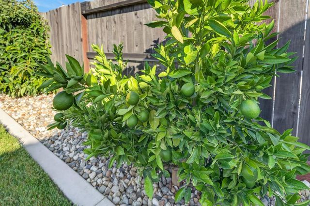 8138 Scrimshaw Way, Sacramento, CA 95829