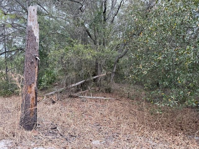 8309 N ODYSSEY DR, Crystal River, FL 34428