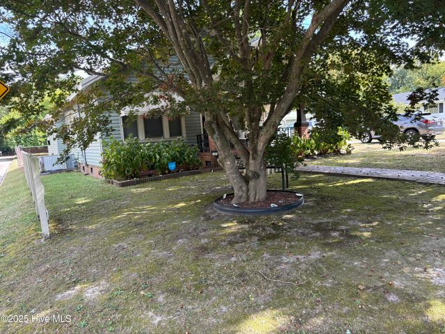 208 Tacoma Street E, Wilson, NC 27893