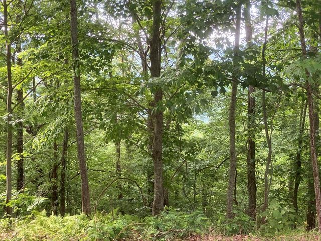 Lot 51 Buck Ridge Drive, Murphy, NC 28906
