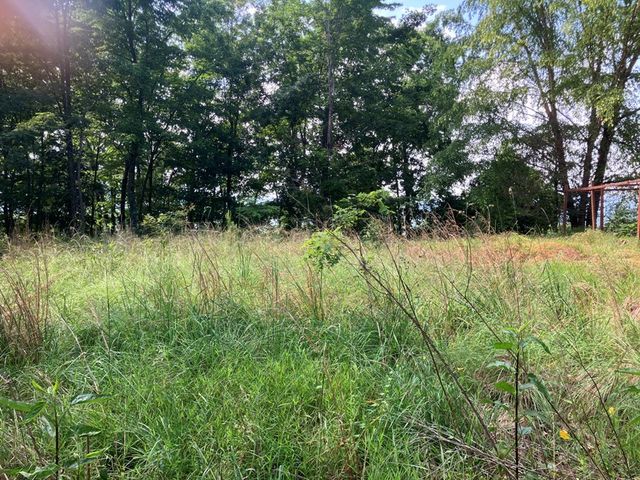 Lot 51 Buck Ridge Drive, Murphy, NC 28906