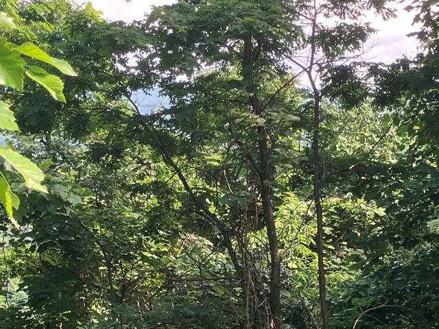 Lot 51 Buck Ridge Drive, Murphy, NC 28906
