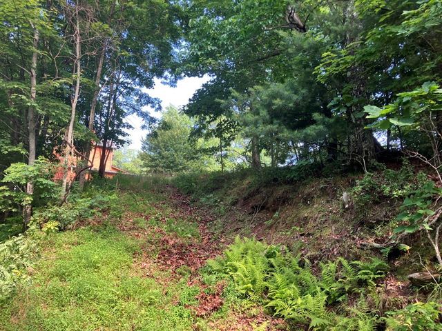 Lot 51 Buck Ridge Drive, Murphy, NC 28906