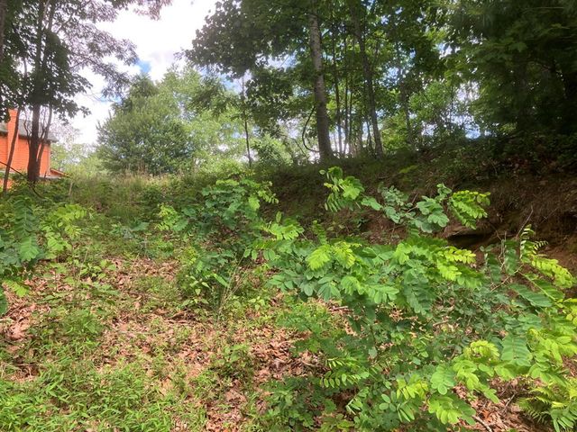 Lot 51 Buck Ridge Drive, Murphy, NC 28906