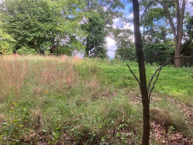 Lot 51 Buck Ridge Drive, Murphy, NC 28906