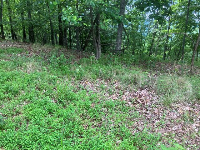 Lot 51 Buck Ridge Drive, Murphy, NC 28906