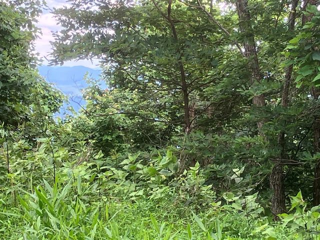 Lot 51 Buck Ridge Drive, Murphy, NC 28906