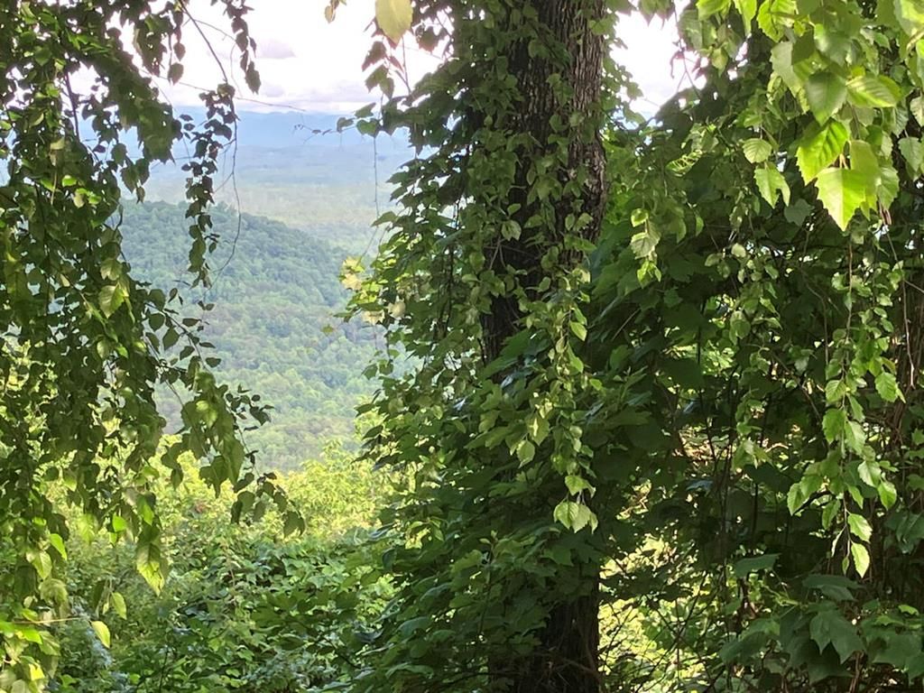 Lot 51 Buck Ridge Drive, Murphy, NC 28906