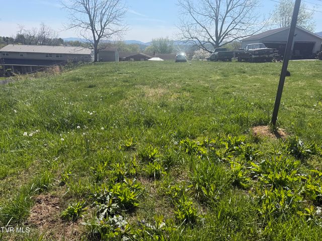 513 Stanley Avenue, Johnson City, TN 37604