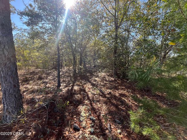 Lot 17 Shelby Court, Chipley, FL 32428