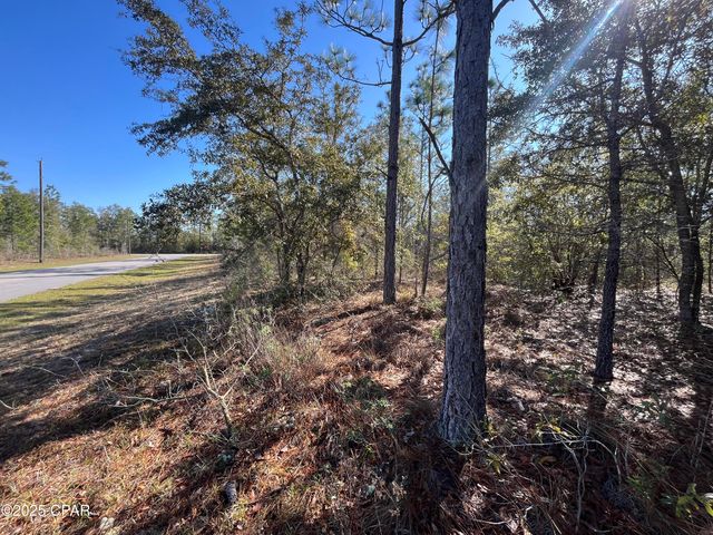 Lot 17 Shelby Court, Chipley, FL 32428