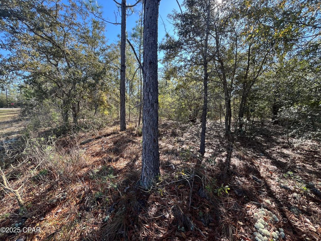 Lot 17 Shelby Court, Chipley, FL 32428
