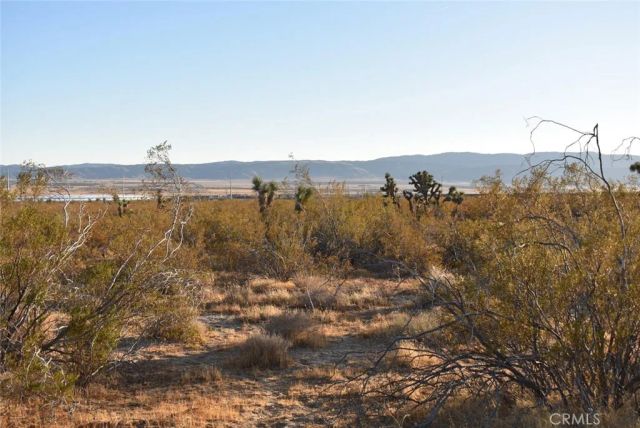 19300 Astoria, Rosamond, CA 93560