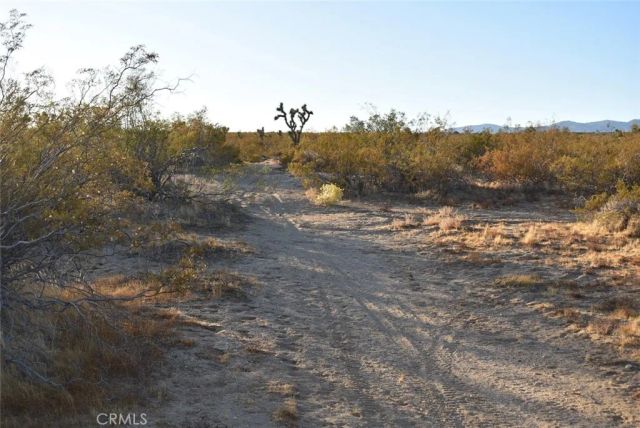 19300 Astoria, Rosamond, CA 93560