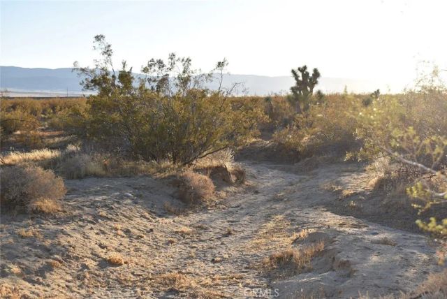 19300 Astoria, Rosamond, CA 93560