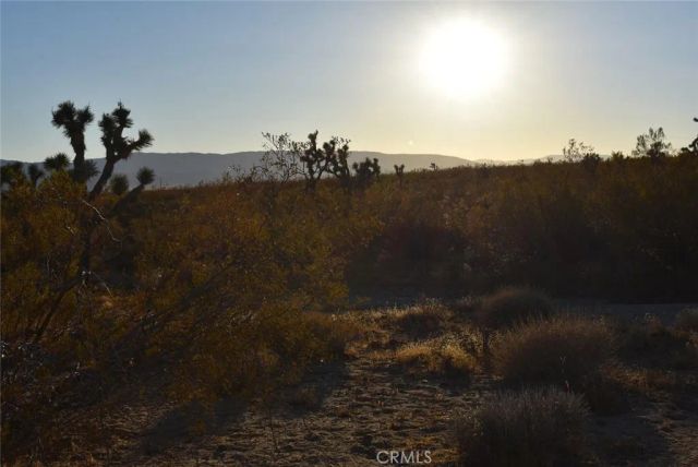 19300 Astoria, Rosamond, CA 93560