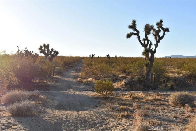 19300 Astoria, Rosamond, CA 93560