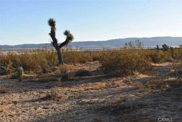 19300 Astoria, Rosamond, CA 93560