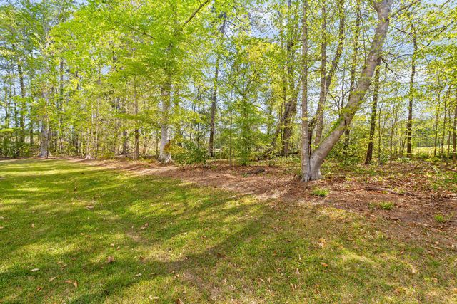 5206 New Palm Court, Summerville, SC 29485