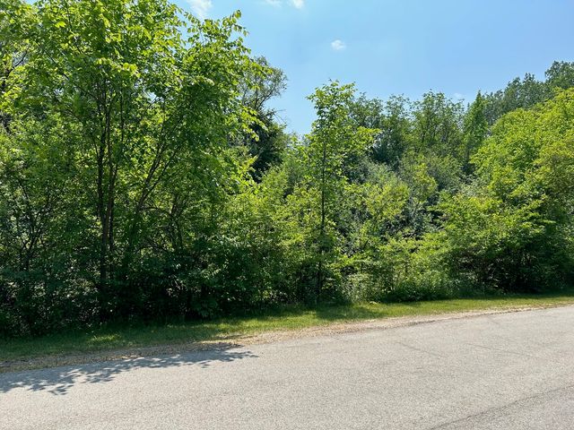 Lot Foster Avenue, Roselle, IL 60172