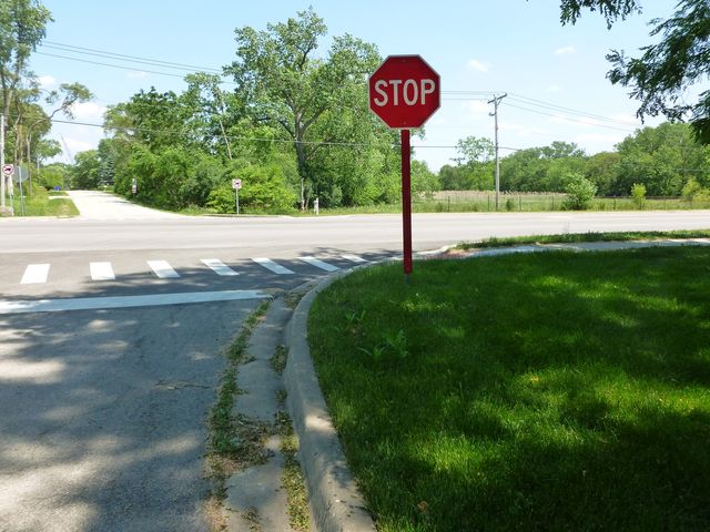 Lot Foster Avenue, Roselle, IL 60172