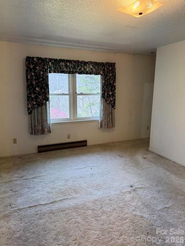 470 Ela Lane, Bryson City, NC 28713