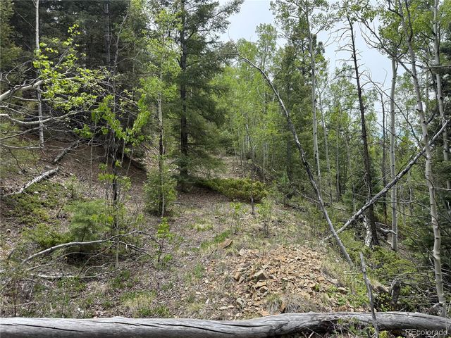 Lot 6795 Starkweather Road, Fort Garland, CO 81133