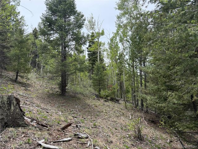 Lot 6795 Starkweather Road, Fort Garland, CO 81133