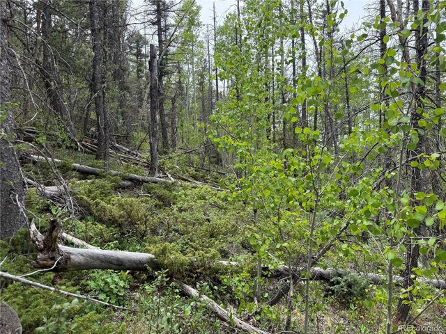 Lot 6795 Starkweather Road, Fort Garland, CO 81133